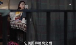 三姐姐爆料视频在线观看